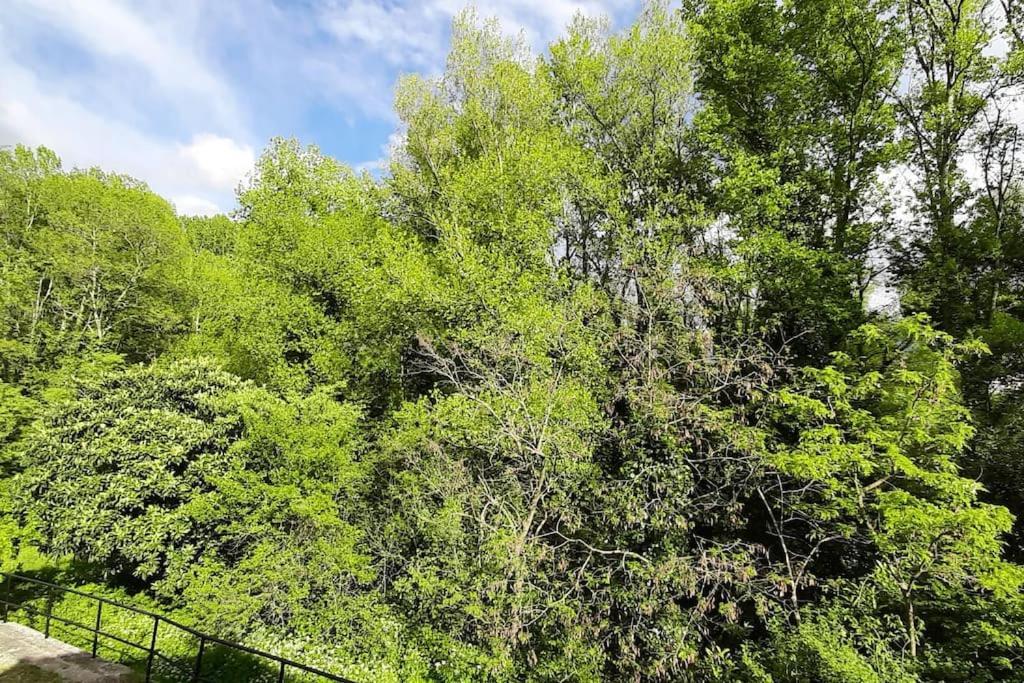 Gite De Charme Dans Mas Catalan Prades  Exterior foto